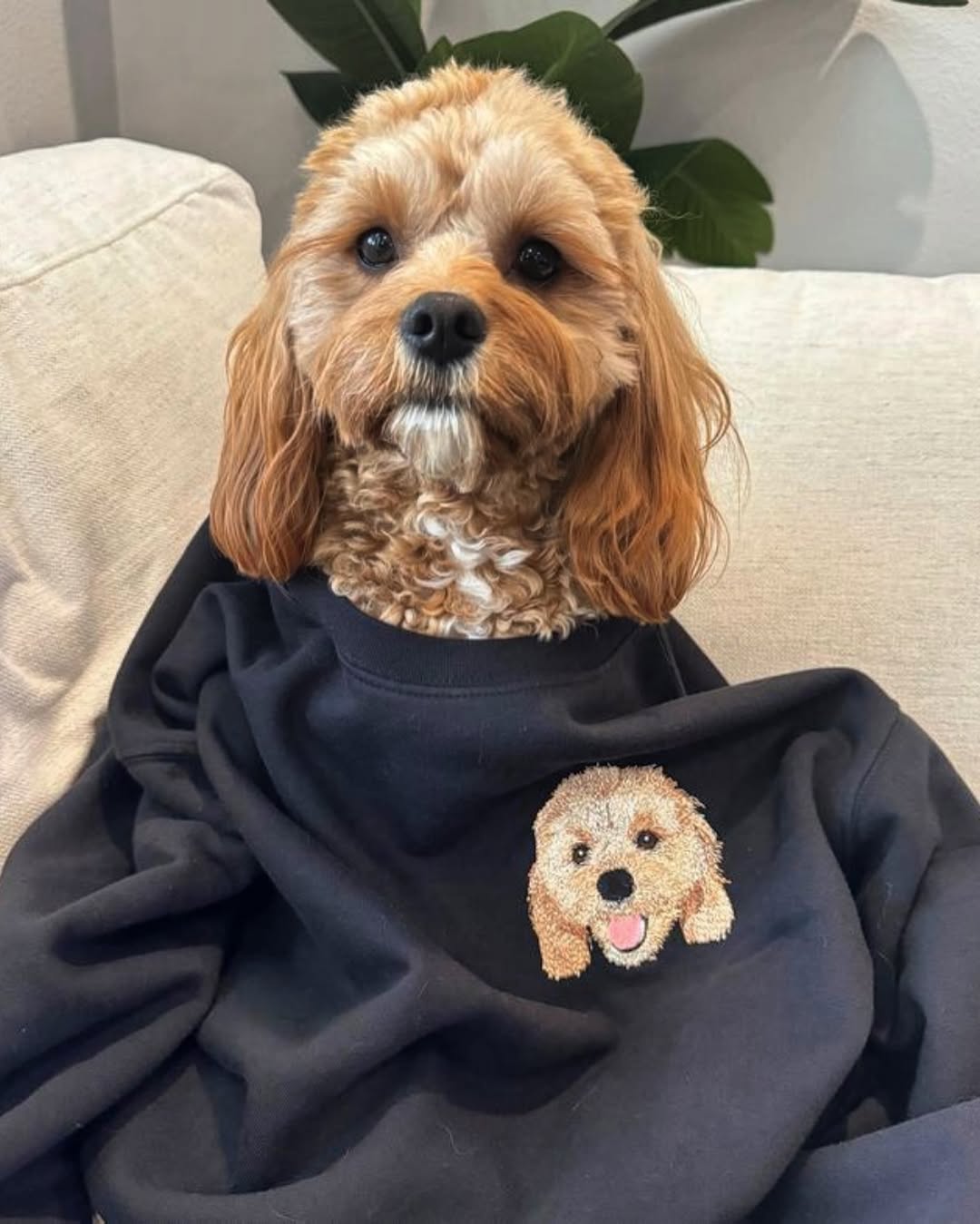 SWEATSHIRT (Kapşonsuz) 🐾 Onu Her Zaman Yanında Taşı — Kişiye Özel Evcil Hayvan Nakış